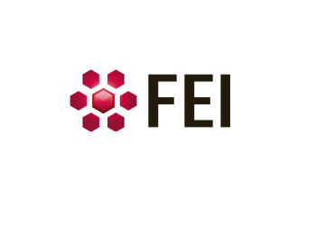 fei logo